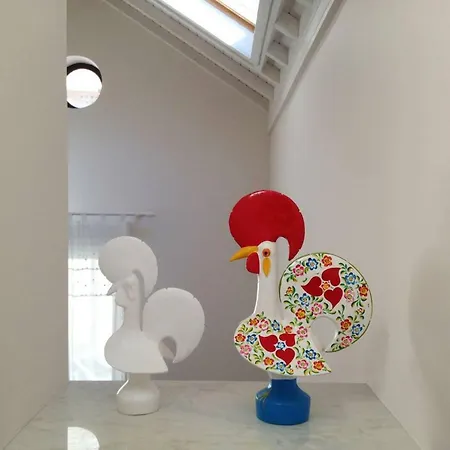 Casa Braancamp - Beautiful & Calm Porto